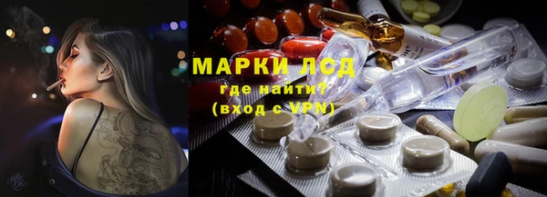 стафф Медногорск