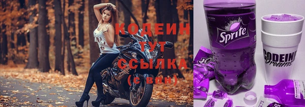стафф Медногорск